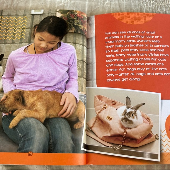 A visit to the vet- scholastic - Picture 4 of 7